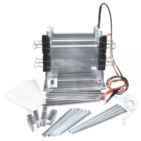 六一生物加寬雙垂直電泳儀DYCZ-24B