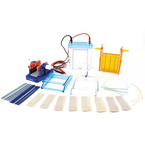 六一生物雙垂直電泳儀(中號)DYCZ-24EN