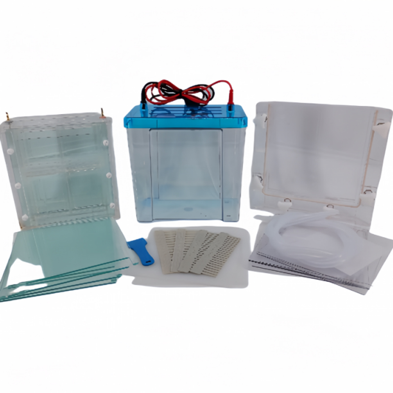 六一生物雙垂直電泳儀DYCZ-24FN