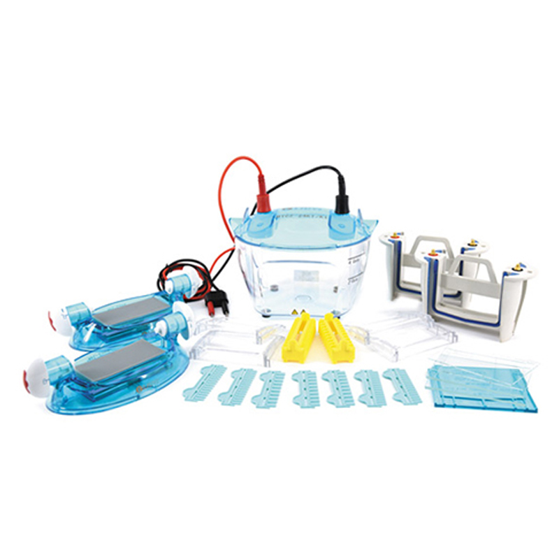 六一生物四板垂直電泳儀DYCZ-24KF