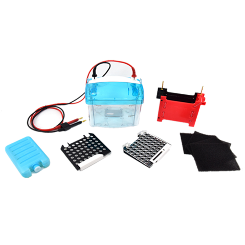 六一生物轉印電泳儀DYCZ-TRANS2