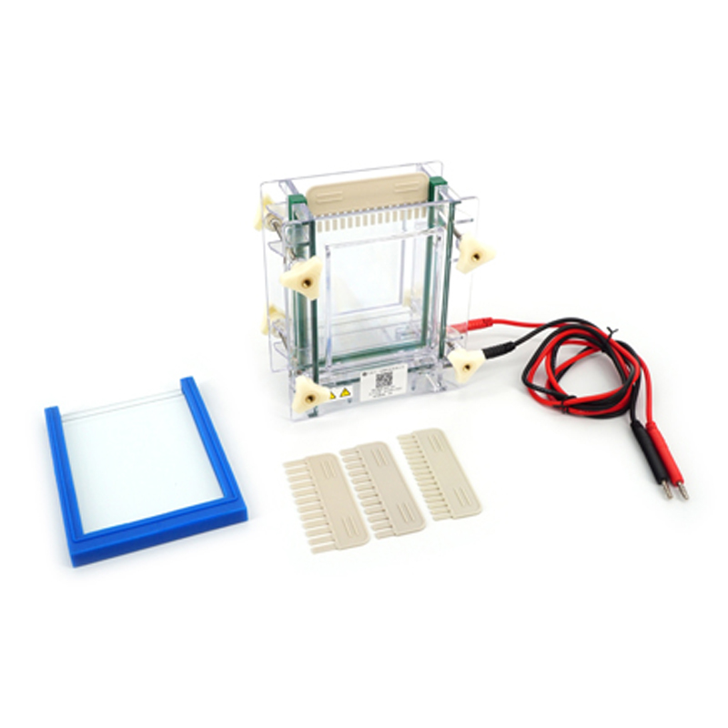 六一生物雙板夾芯式垂直電泳儀(小)DYCZ-28C