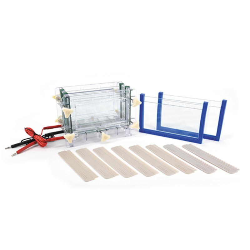 六一生物雙板夾心式垂直電泳儀DYCZ-30C