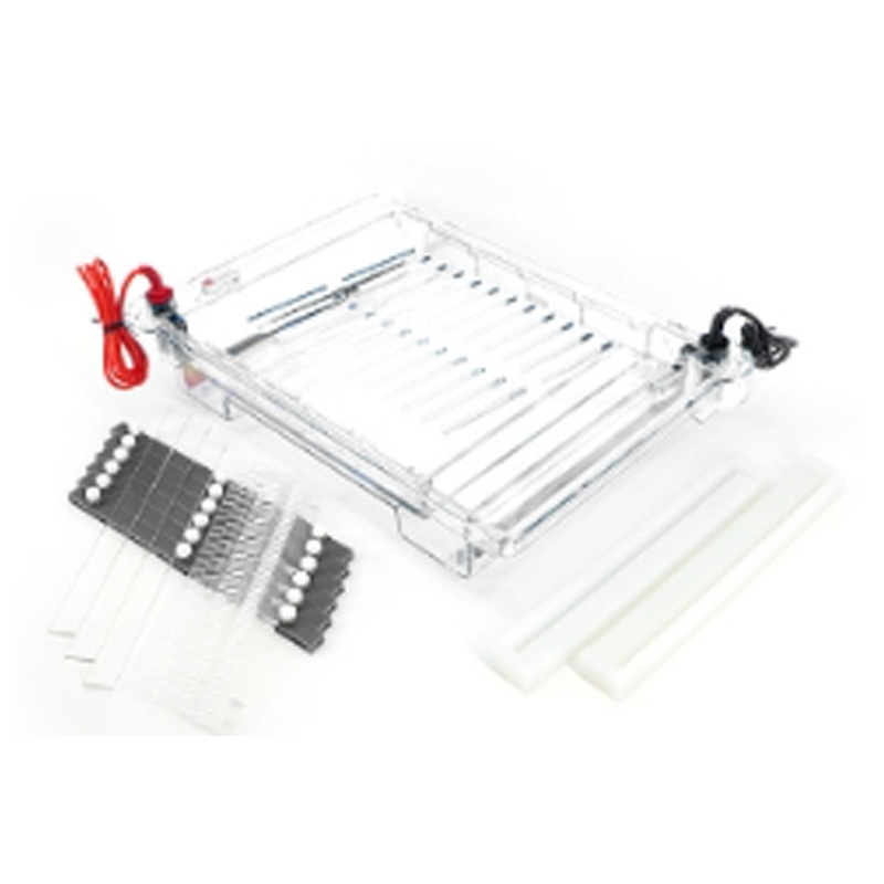 六一生物瓊脂糖水平電泳儀DYCP-32C