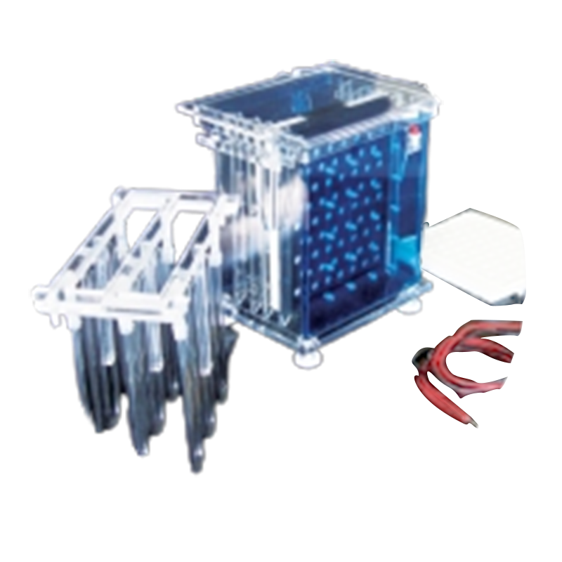 六一生物轉移電泳儀(大號)DYCZ-40A