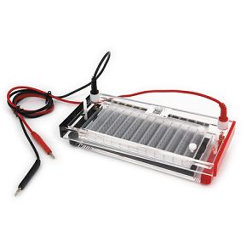 六一生物快速凝膠電泳儀DYCP-44N