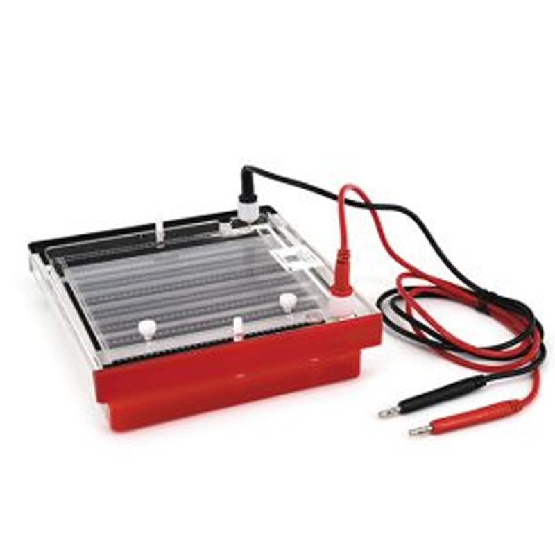 六一生物快速凝膠電泳儀DYCP-44P