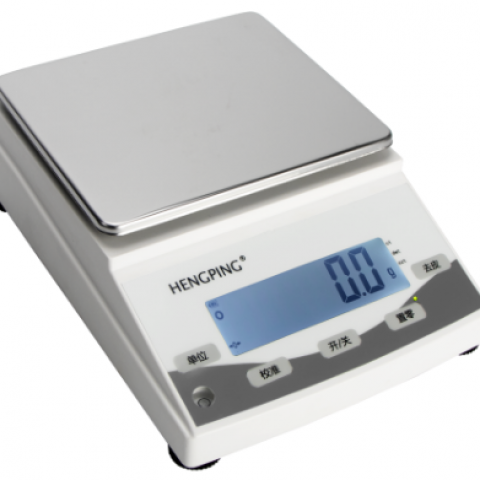 舜宇恒平電子天平Y(jié)P601N