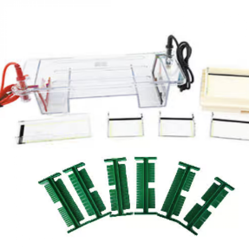 中科永儀多功能水平電泳槽EPT-HZ01