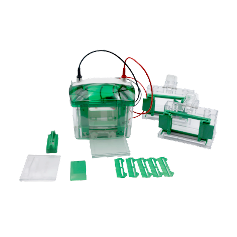 中科永儀垂直電泳槽EPT-VT02MINI2