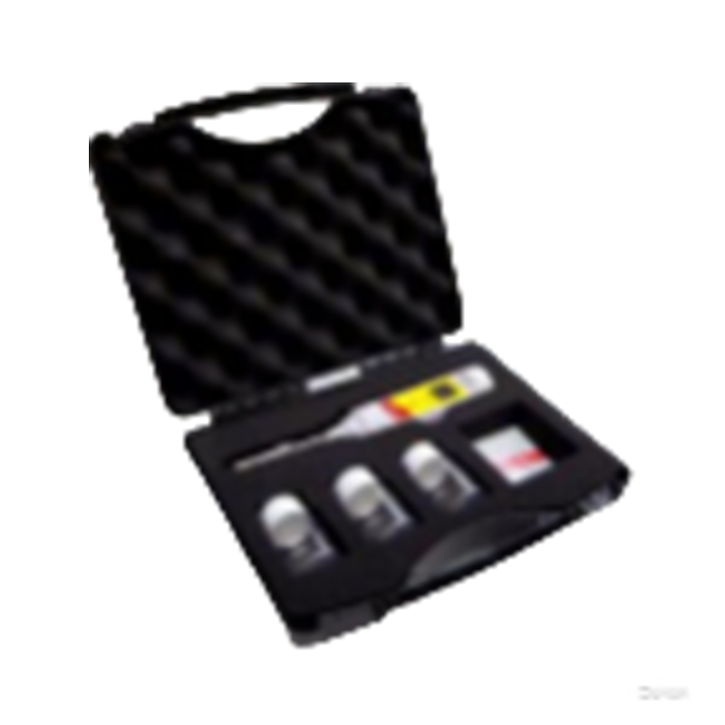 上海般特筆式pH計(jì)PHscan20L